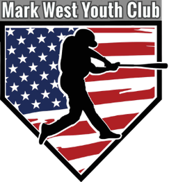 America's Perfect Tri® Tee